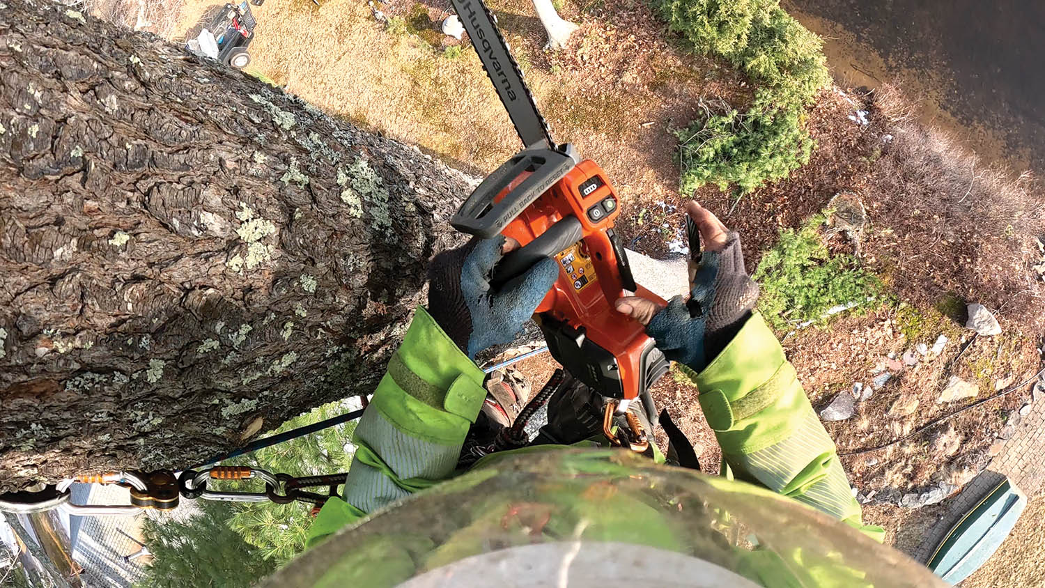 Product Review Husqvarna (T)542xi tophandled chain saw Tree Care Industry Magazine