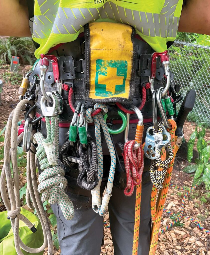 A well-equipped harness.