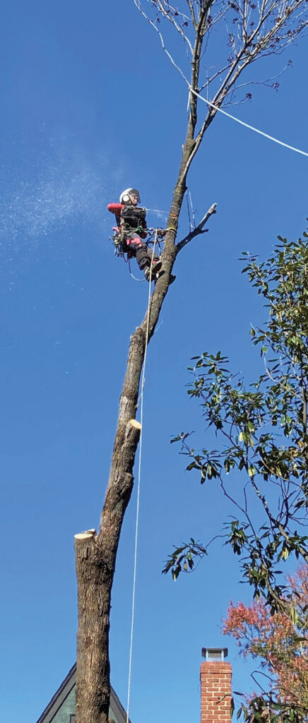 What we’re searching for is that, while gravity pulls down, our ropes and bodies should be finding the balance point that perfectly opposes it.