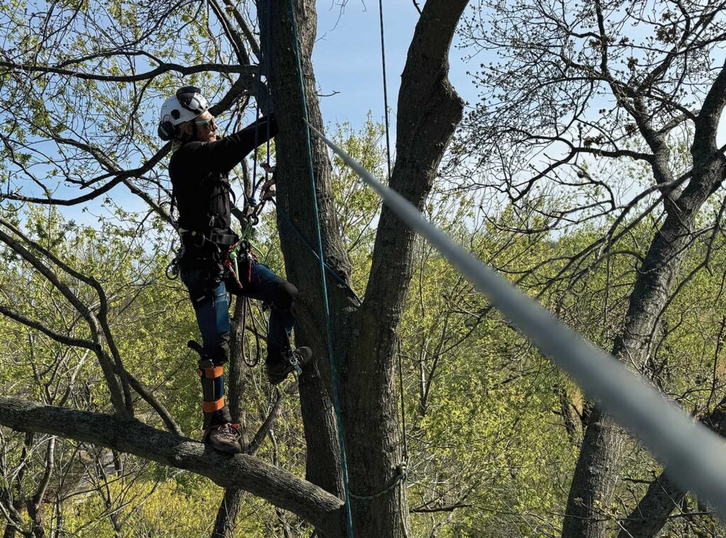 Matt Bronakowski with Rooted Arbor Care installs a dead end on a cable.