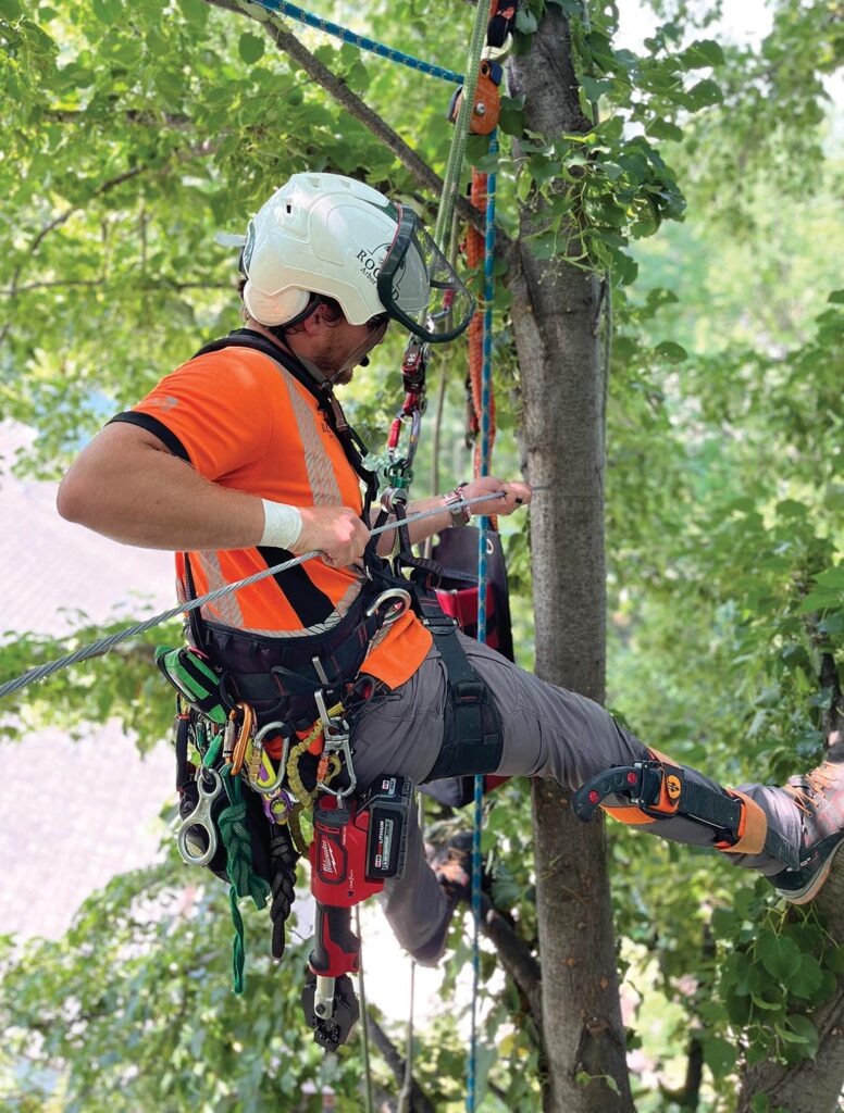 Andy Jones installing a five-sixteenths EHS (extra high strength) cable into a multi leader linden tree.