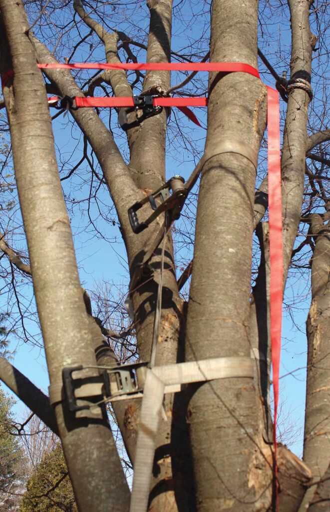 Wide-banded ratchet straps