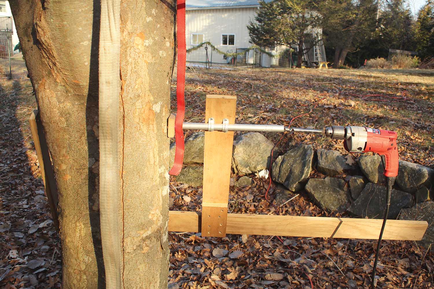 Tree Previous Failure Embracing Failure - Tree Care Industry Magazine