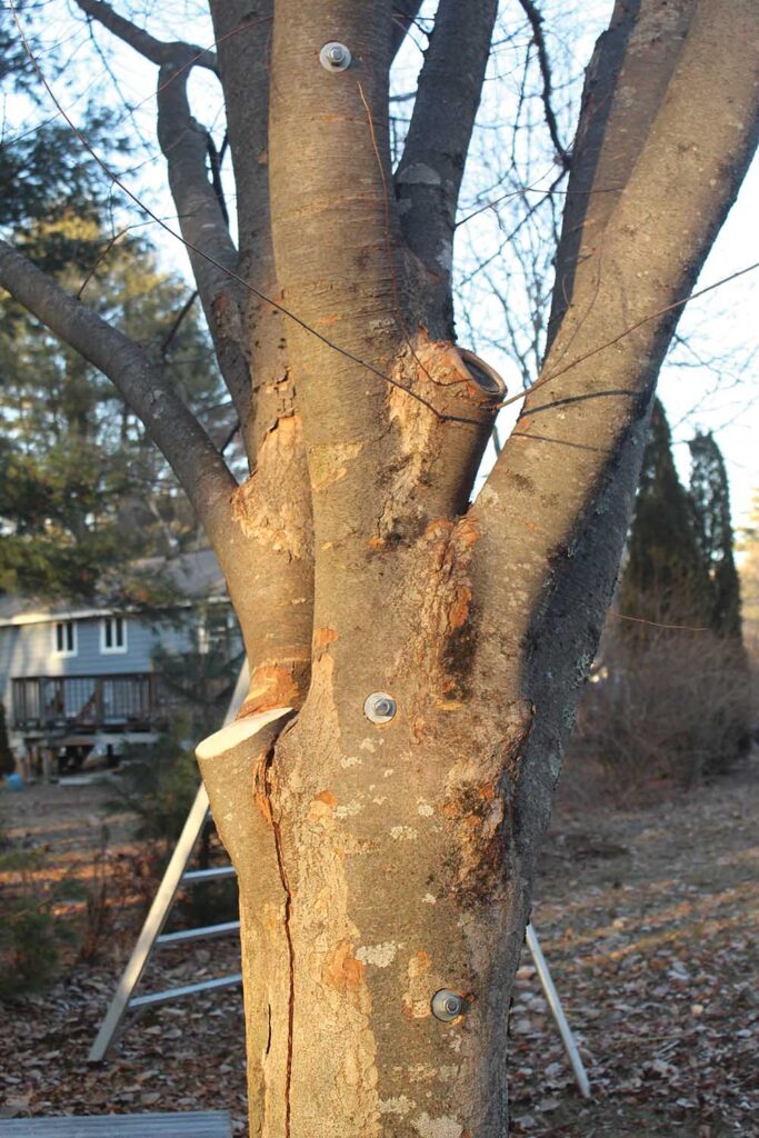 Photo 11: All buttoned up.