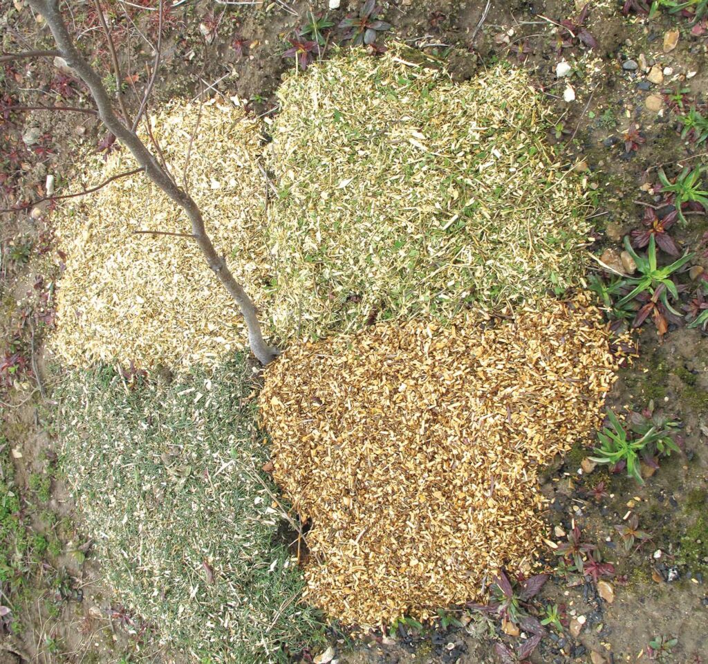 Photo 5: Investigating the influence of four different pure mulches on root growth.
