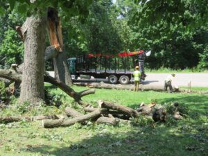 Storm-damage cleanup operations increase our risk level. It never hurts to review and be reminded of some of these hazardous conditions.