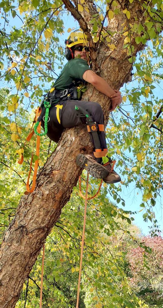 Hudzinski says buddy climbs are her favorite way to climb trees. They lead to great conversations, and people advance faster with them.