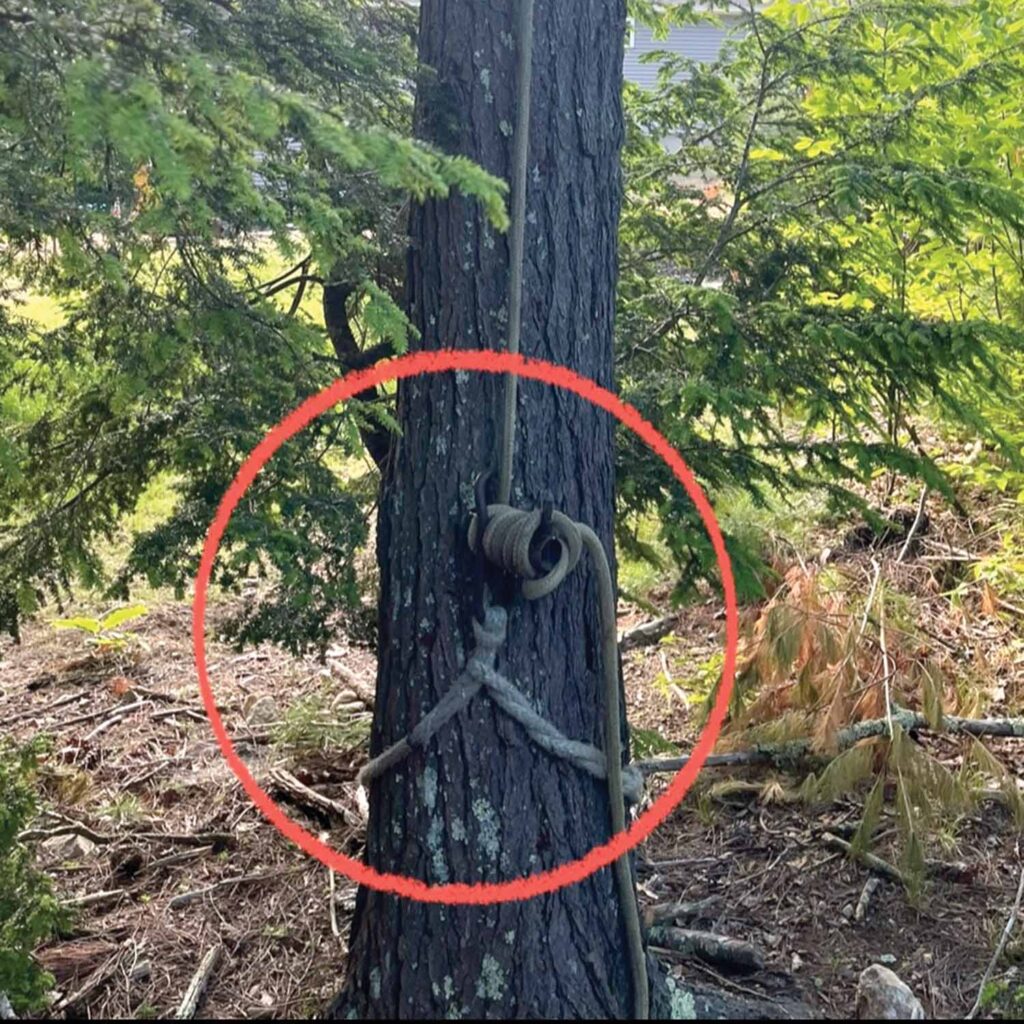 Photo 7: One of the anchor points for the rigging line terminated at the base of the hemlock spar tree, using a large port-a-wrap and a timber-hitch termination on the dead-eye sling.
