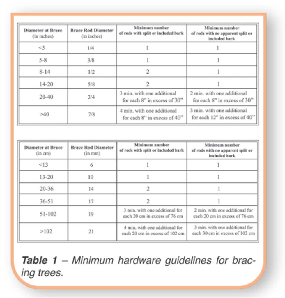 Table 1 : Minimum hardware guidelines for bracing tree