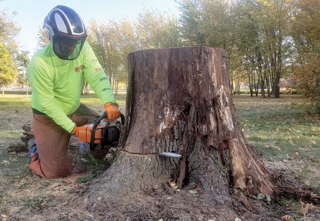 John Ball doing tree work on the South Dakota State University campus. Courtesy of Tanner Aikens.