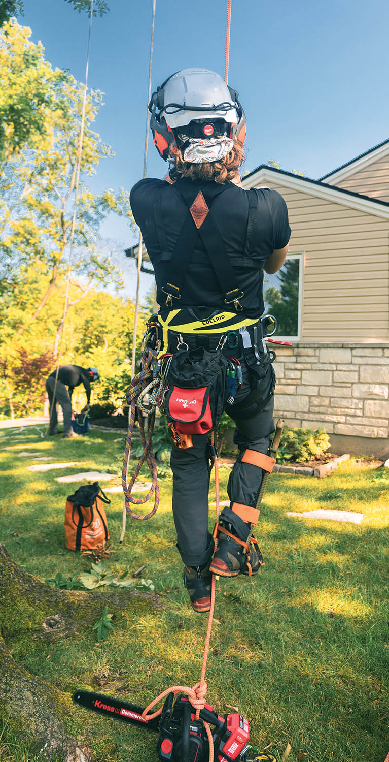 Mateusz Branakowski in the TreeRaptor.
