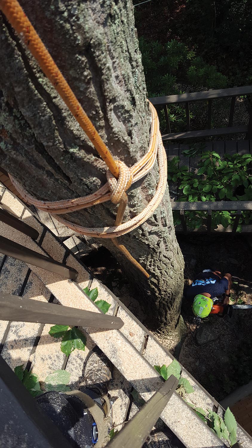 Photo 2: The cow hitch does not weaken the sling, and is just like using a loop sling, round sling or eye-and-eye.