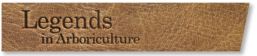 leather background