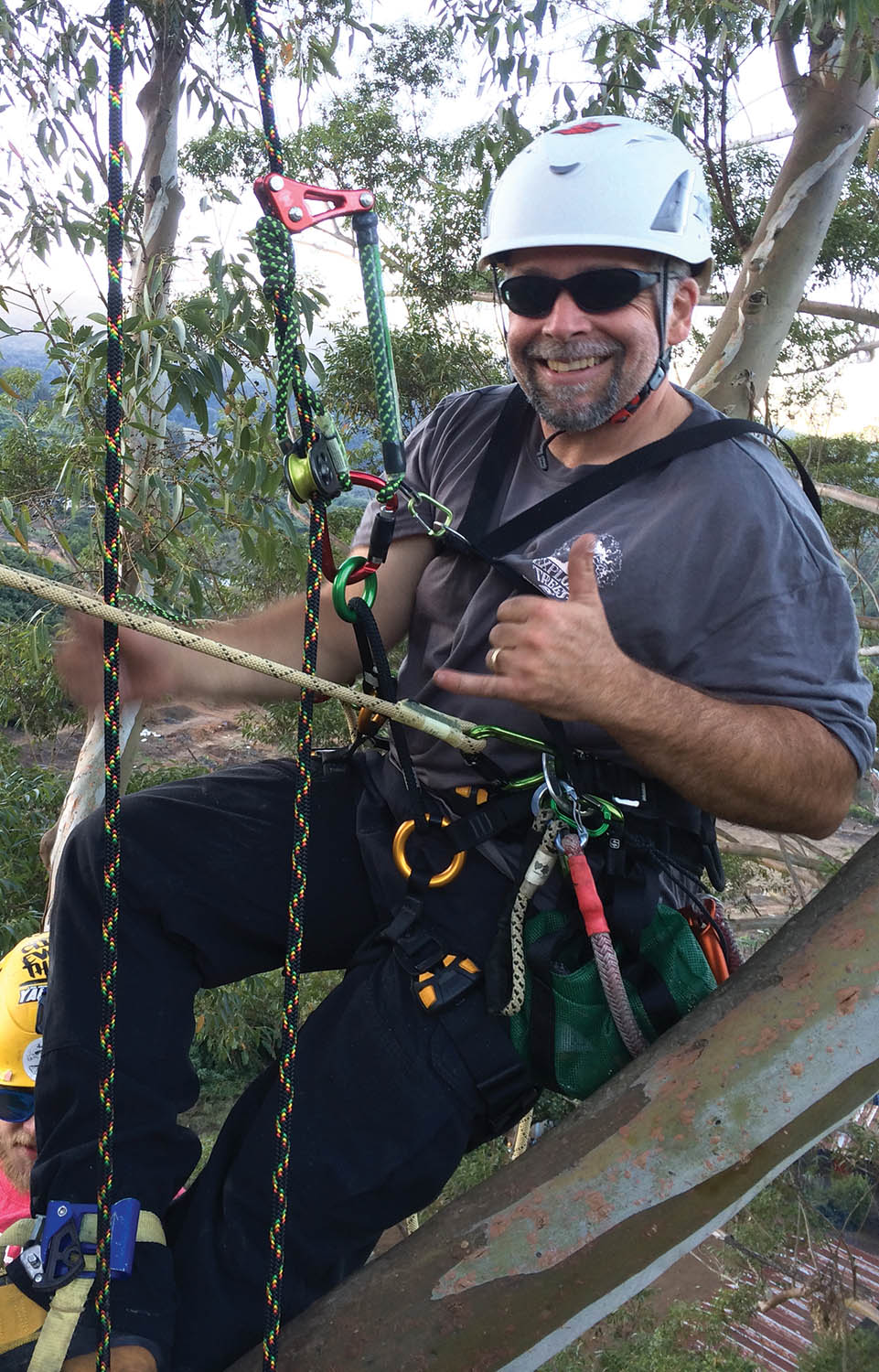 Climbing a tree in Limpopo Province, South Africa.