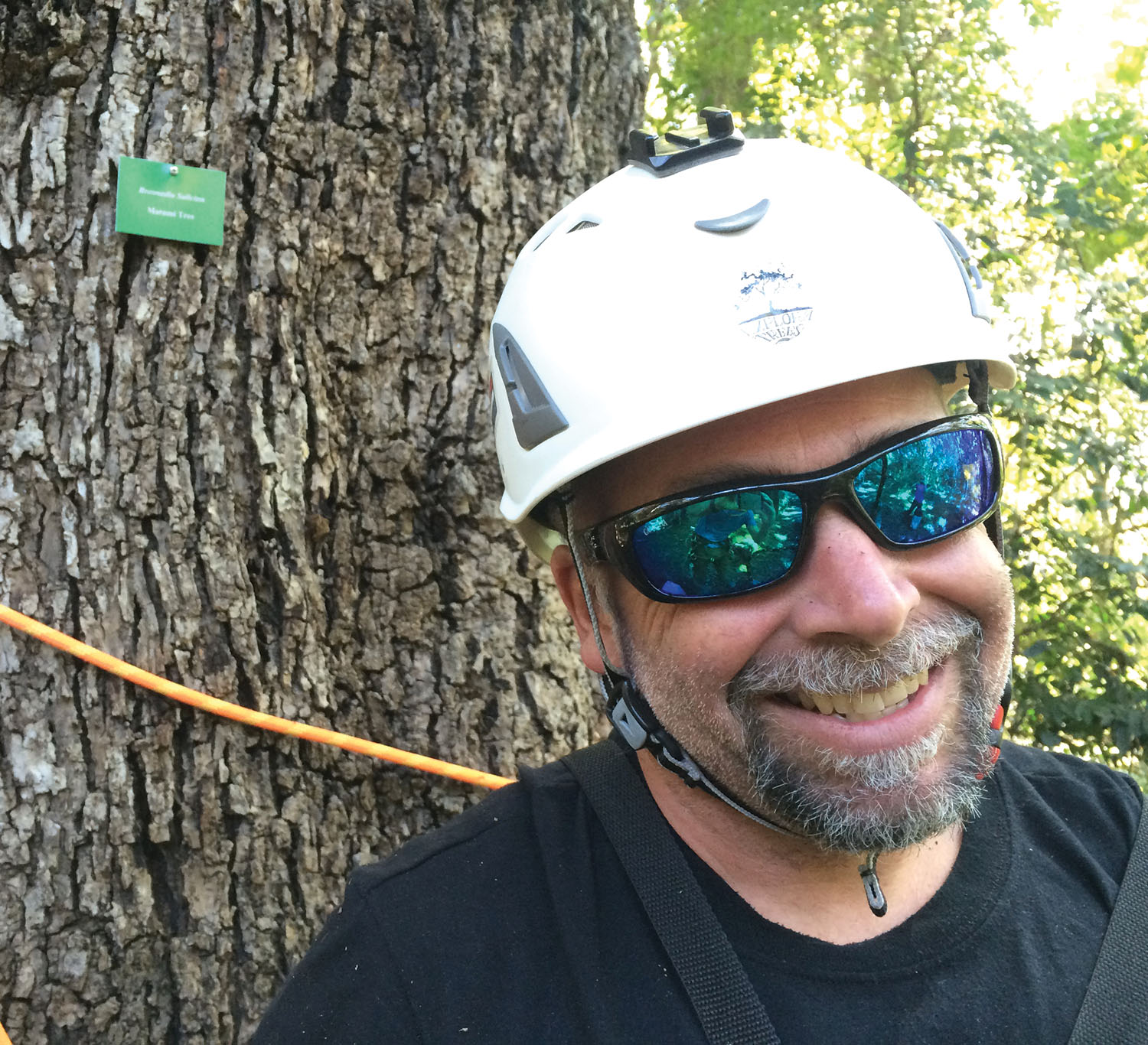 Jamie Goddard, shown here, says he's been on some pretty cool climbs, like climbing a redwood tree and scaling some of the tallest trees in South Africa.