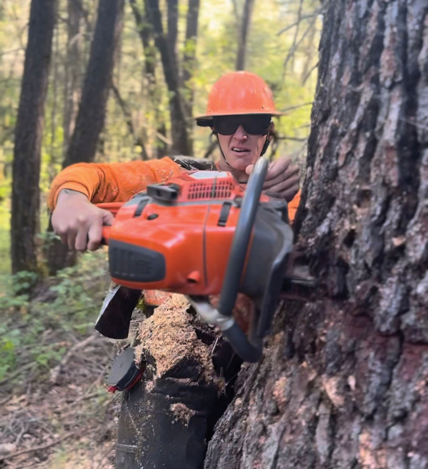 Photo 5: Matt Meckley showing the most accurate way to use the gunning sights on a saw. "Directly behind the saw with my strong eye open, picking out a target no closer than 60 feet out. This is how you get the most accurate use out of the sight."