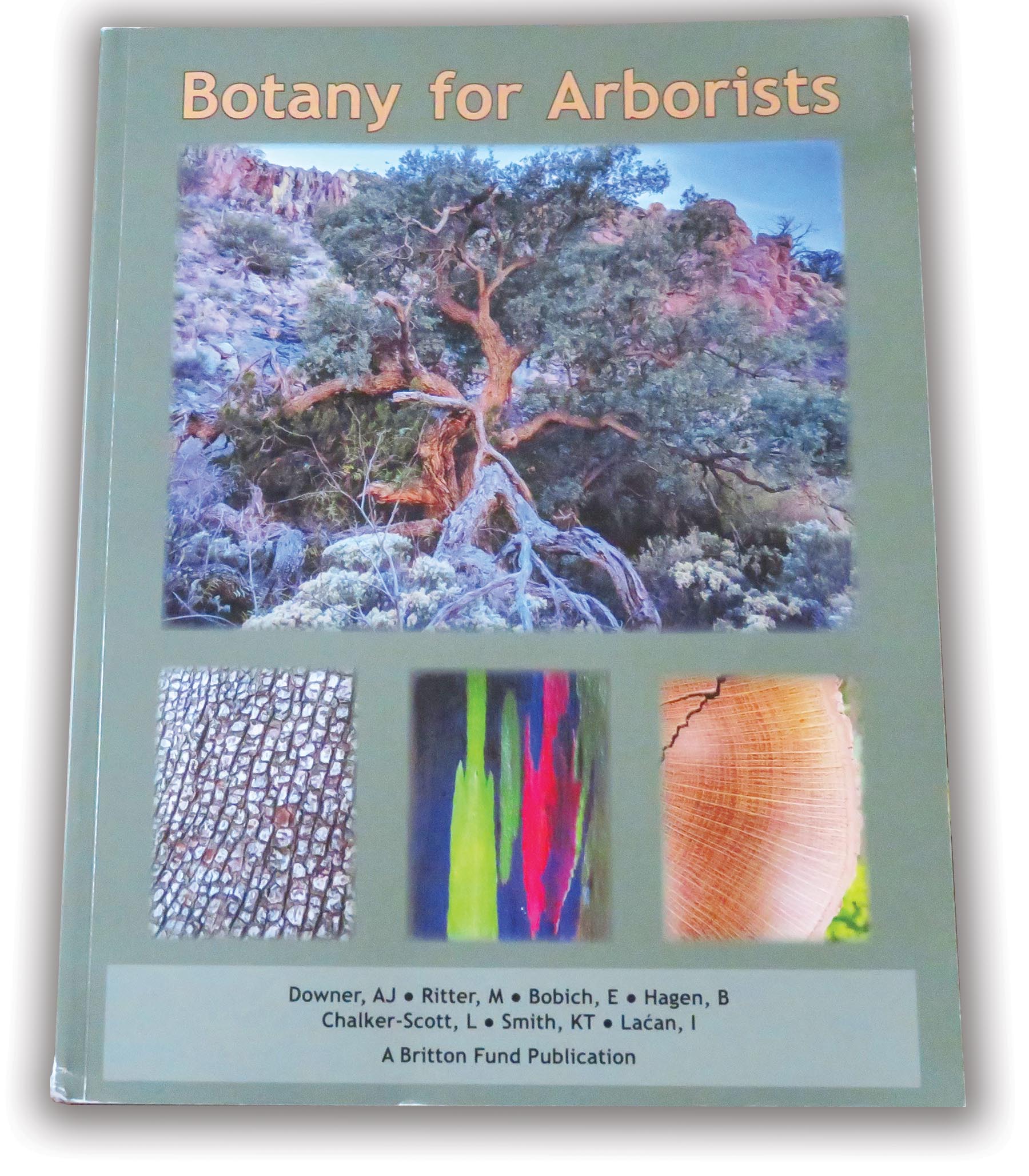 Botany book for arborists