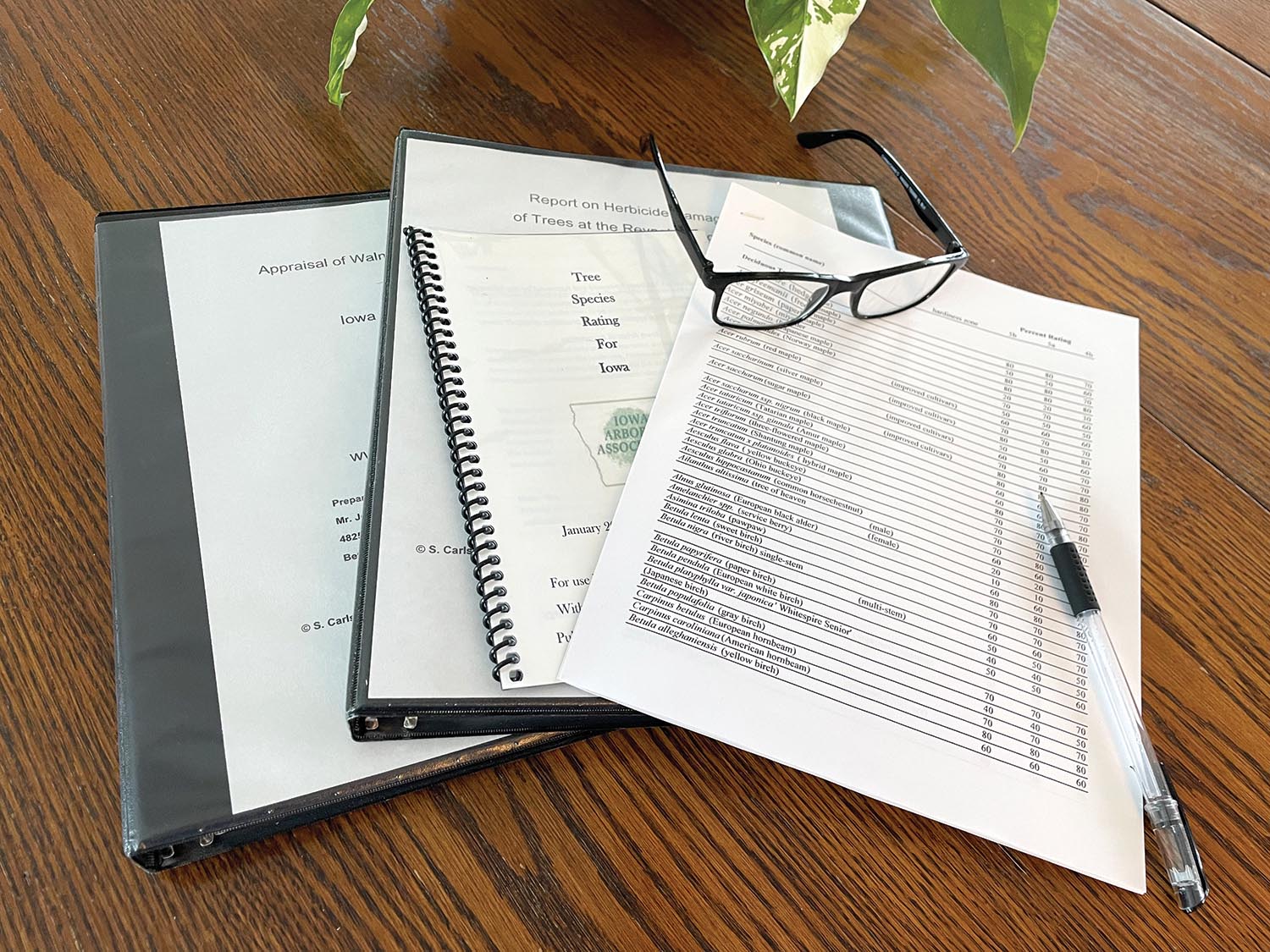 Oak trees and Herbicides