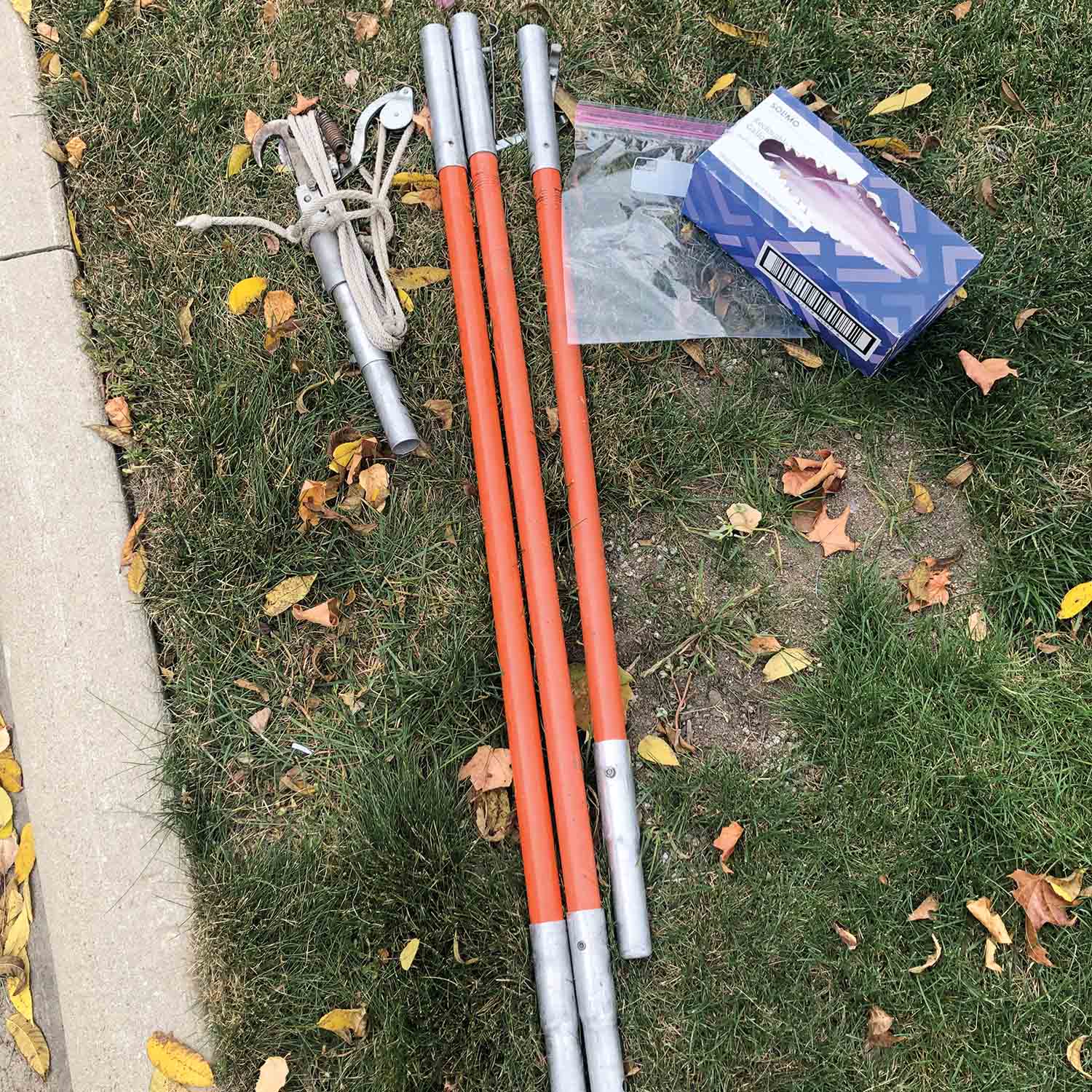 Soil Testing for Tree Health