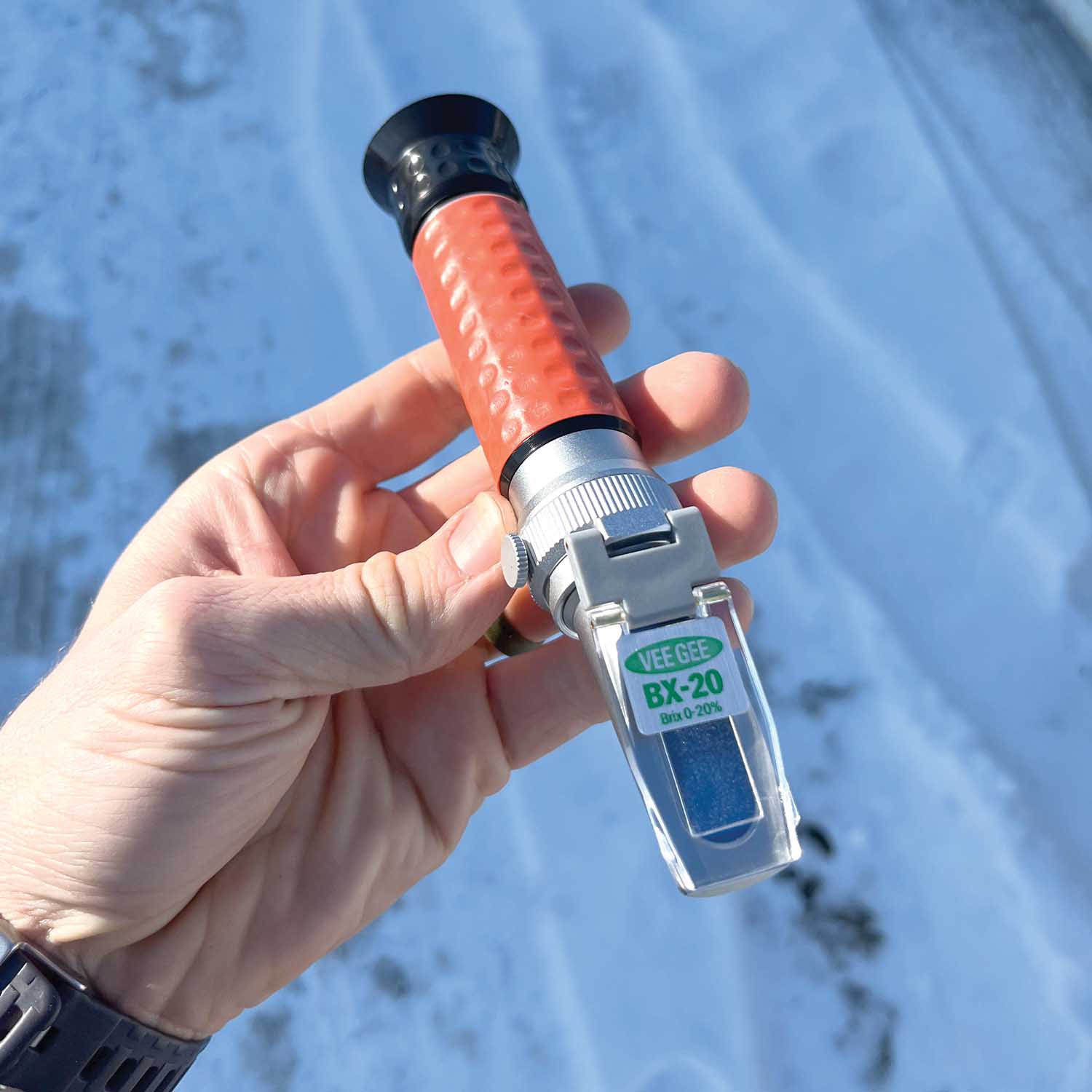 Soil Testing for Tree Health