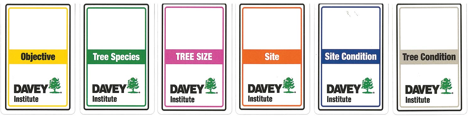 Structural Defects in Trees