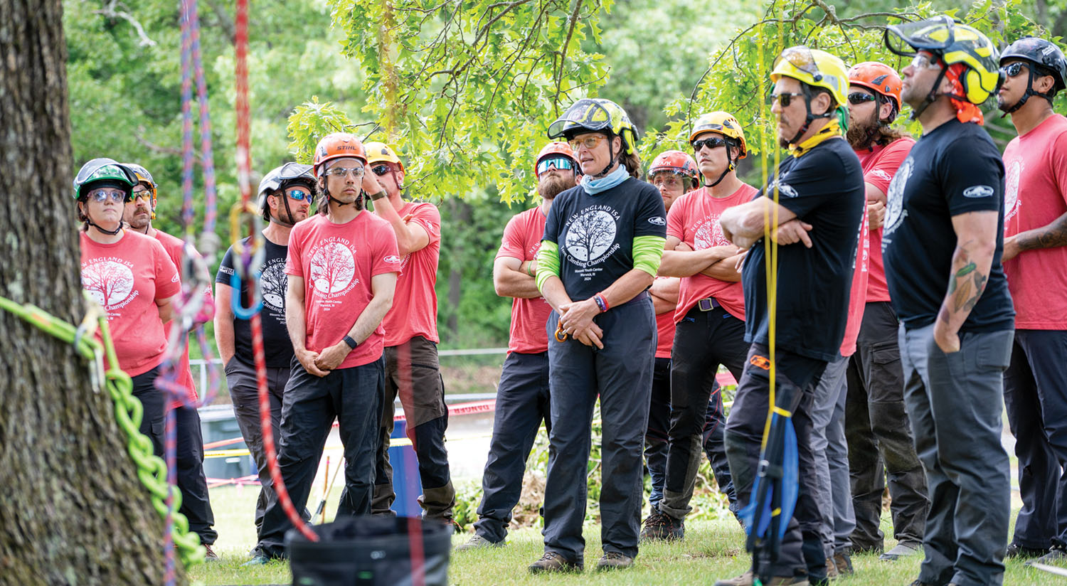engaging your tree care employees