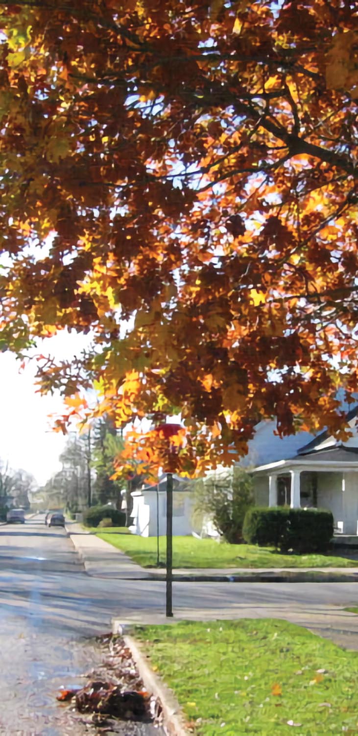 Tree Pruning Solutions