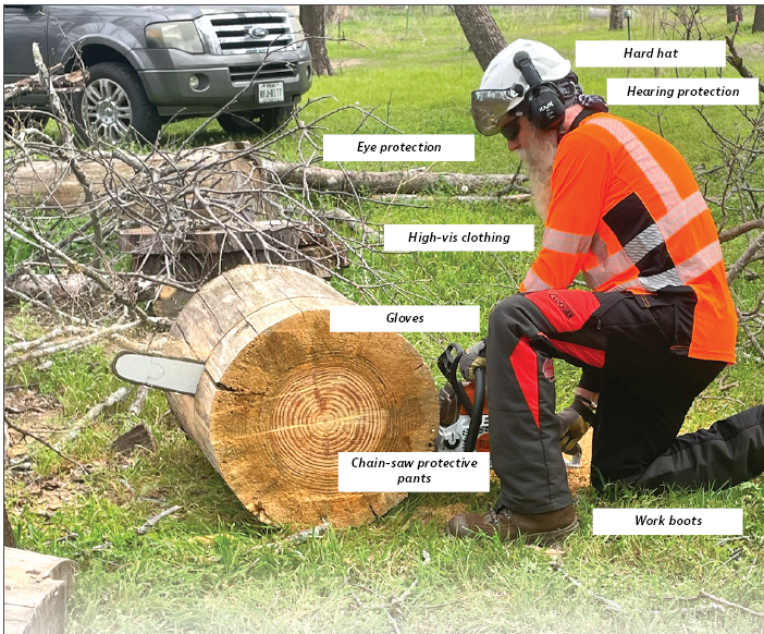 Tree care PPE