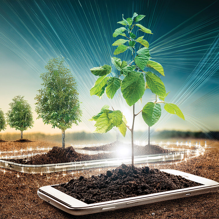 AI and tree care