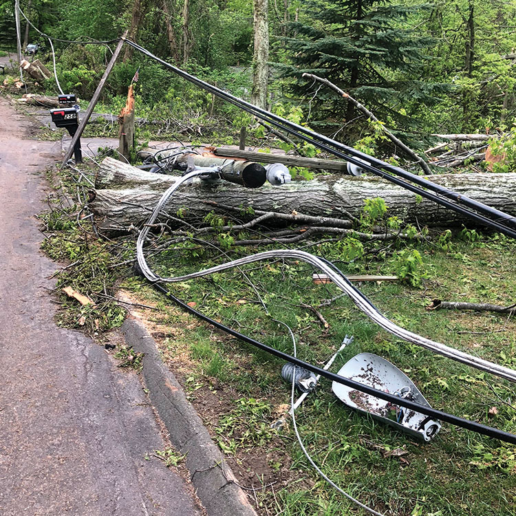 Removing storm-damaged trees