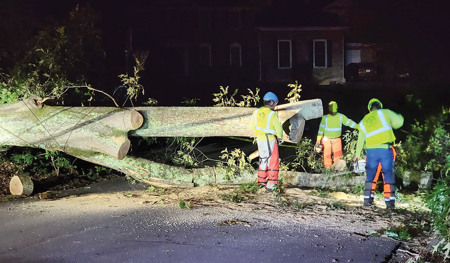 Tufts Tree Service