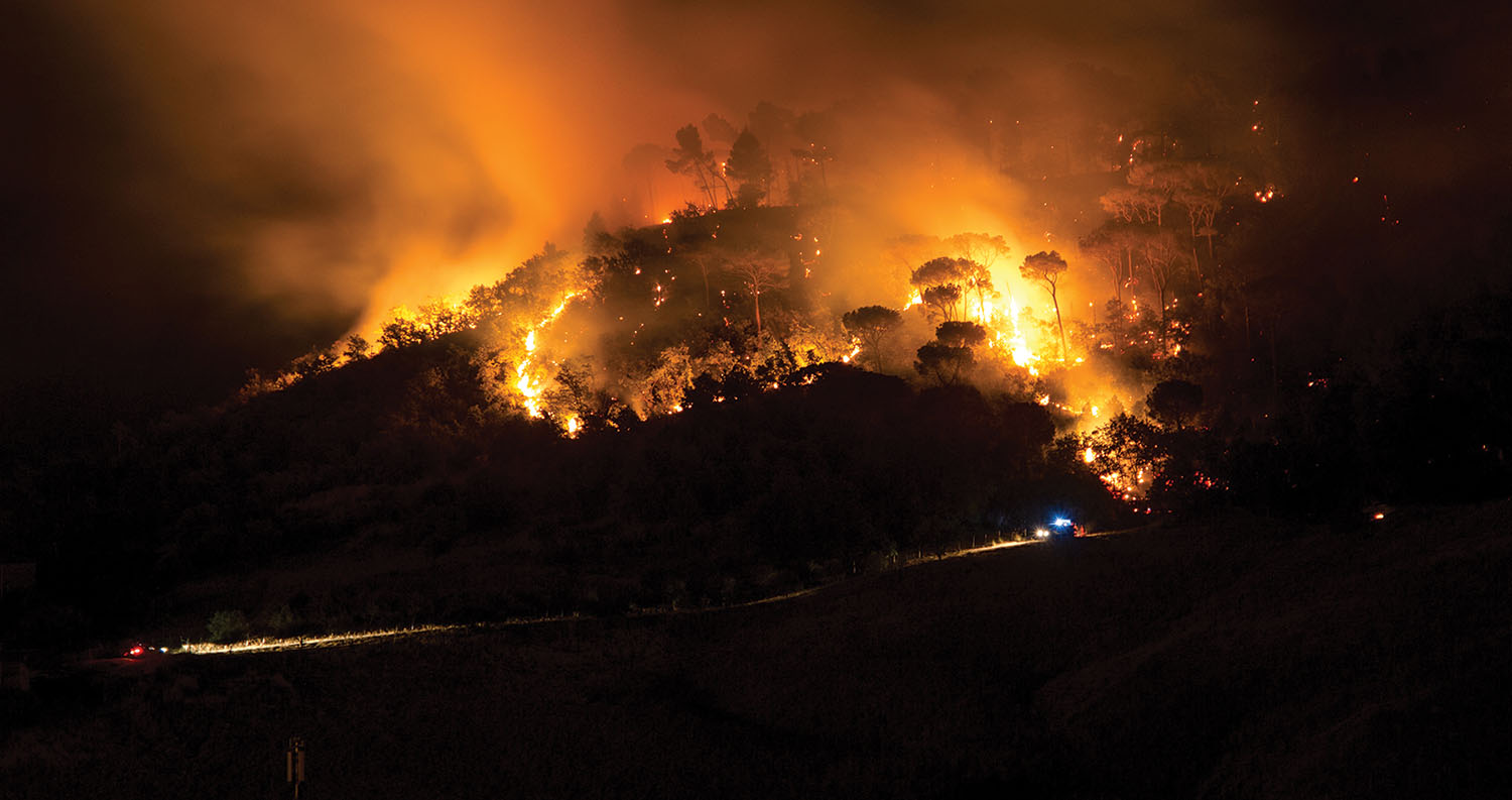 wildfires in tree care