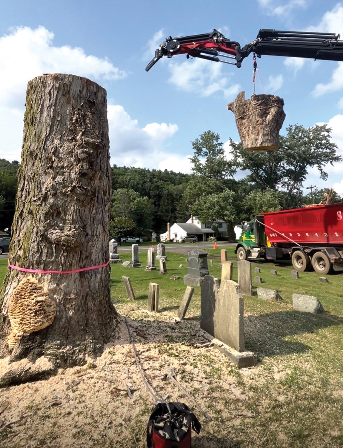 Crane-ASSISTED Tree Removal