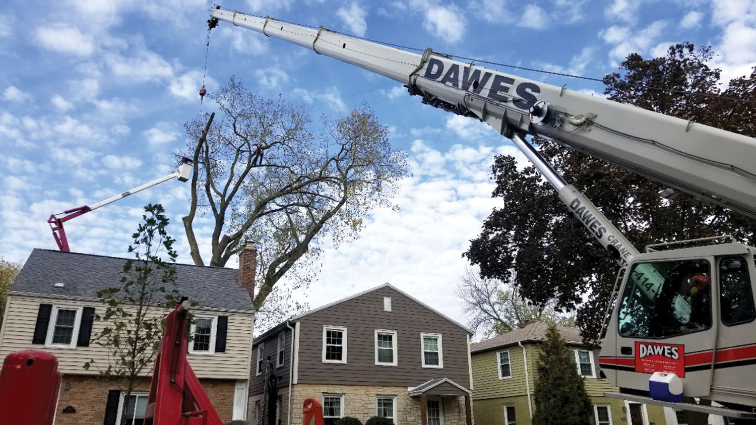 Subcontracted Tree Care
