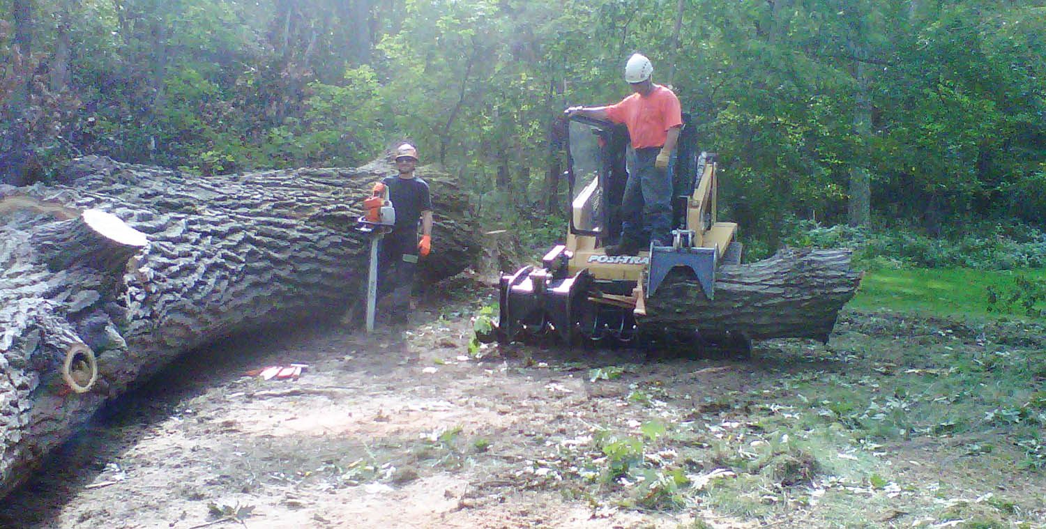 Subcontracted Tree Care