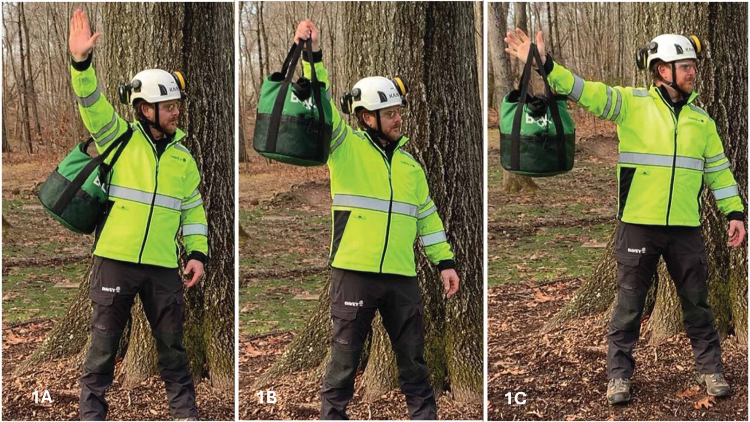Experiential Rigging Forces