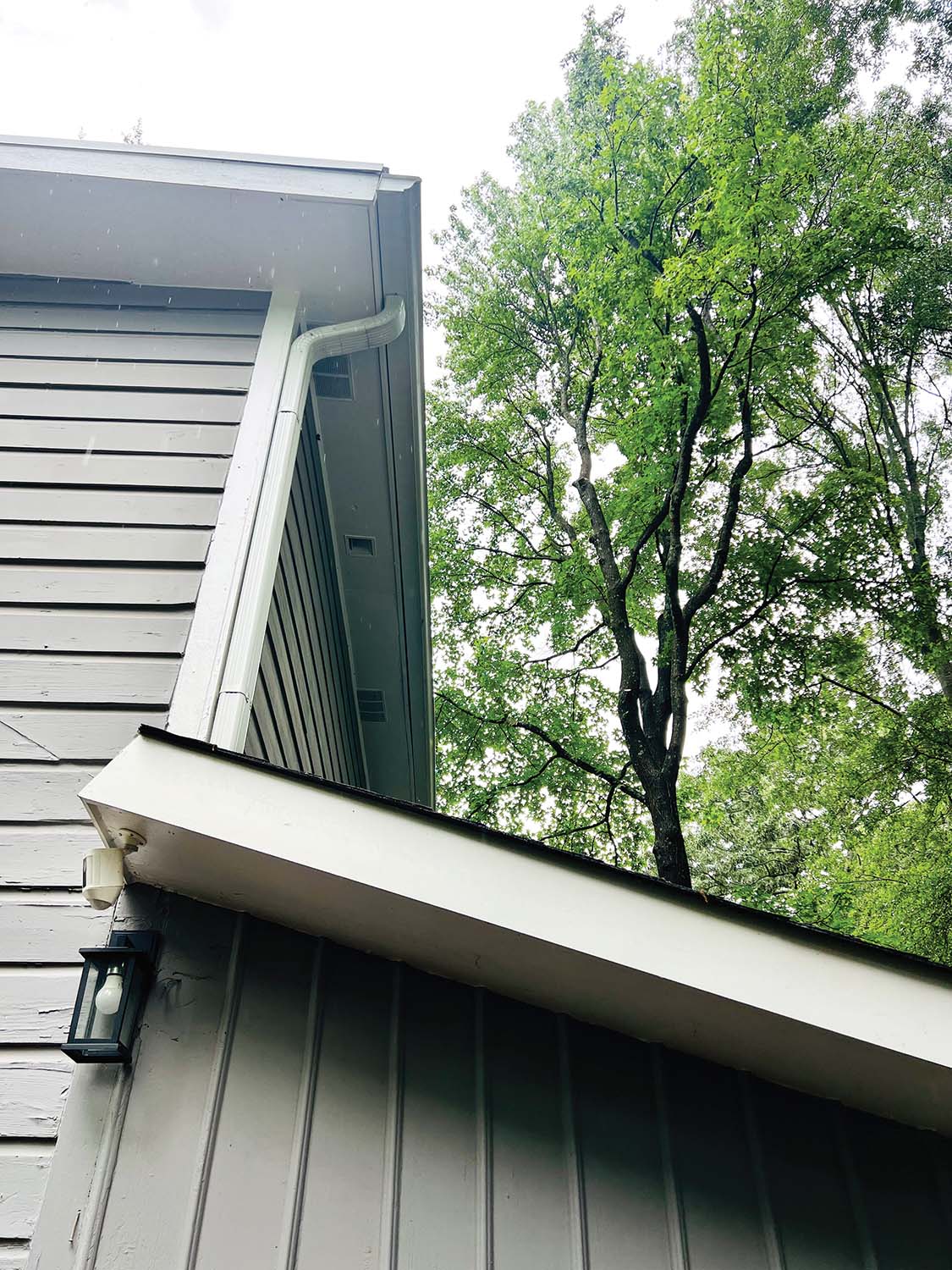 Insurance Pruning
