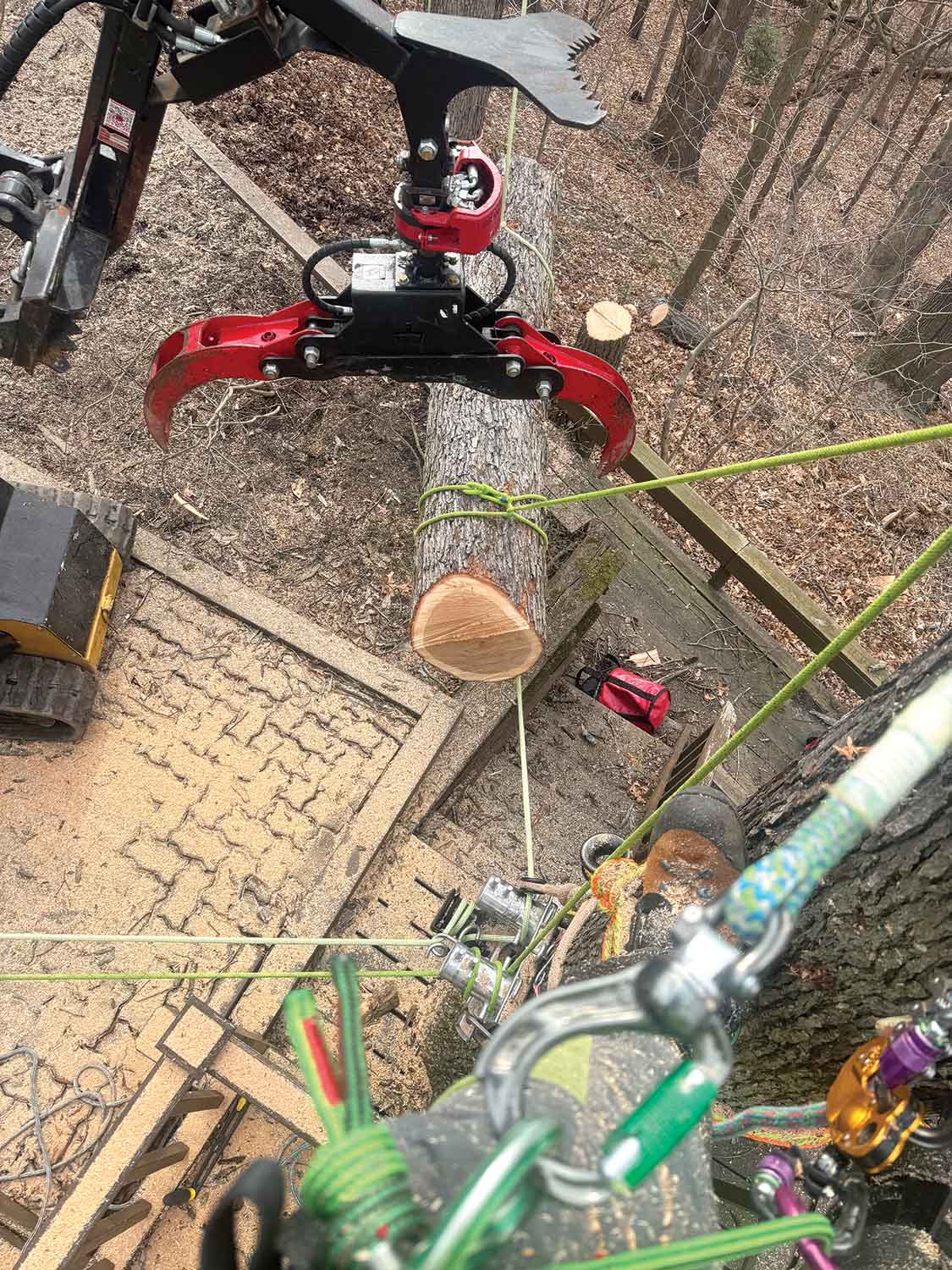 Rigging Trees