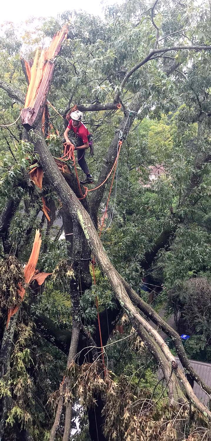 Key Hazards in Storm Work