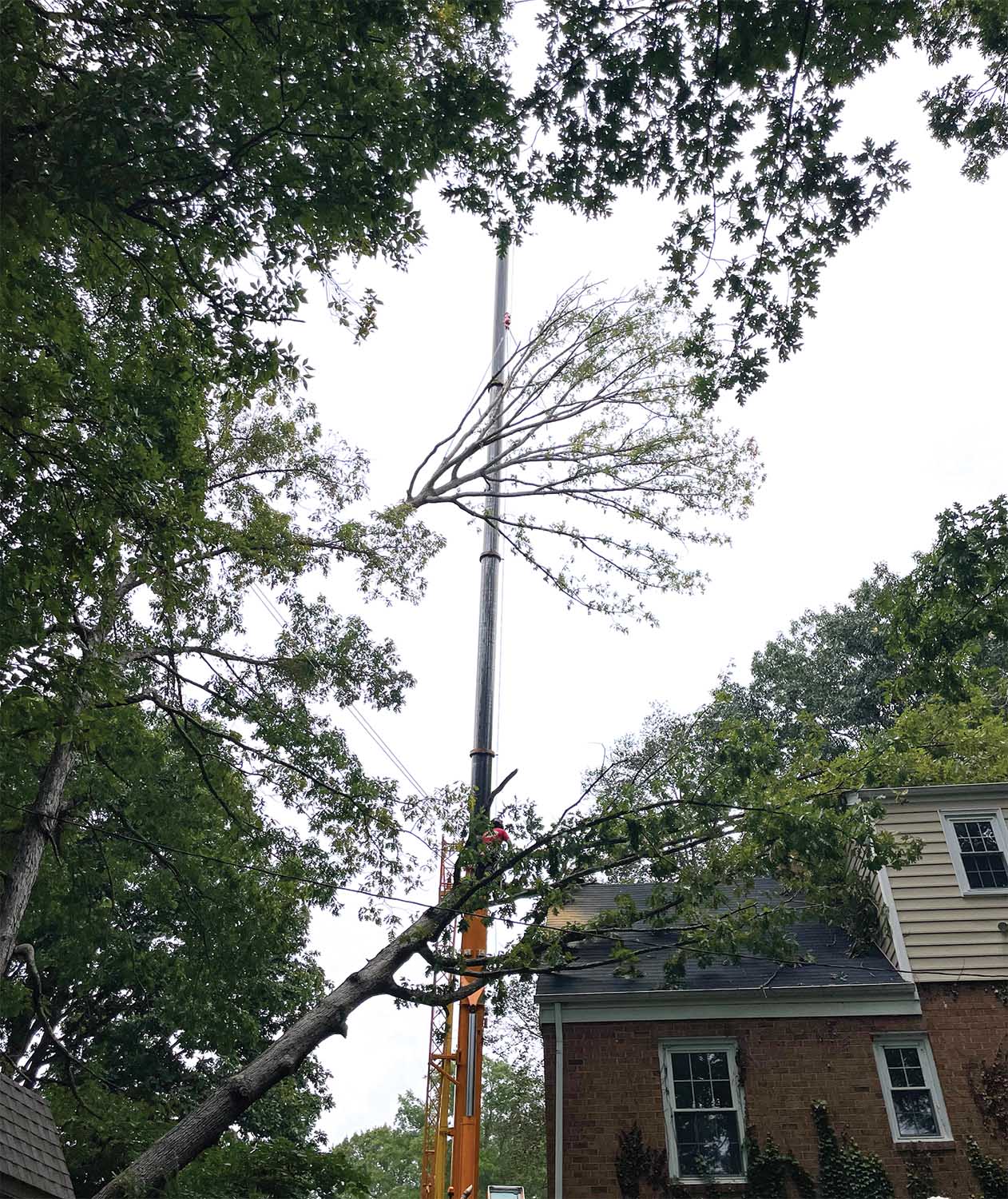 Key Hazards in Storm Work