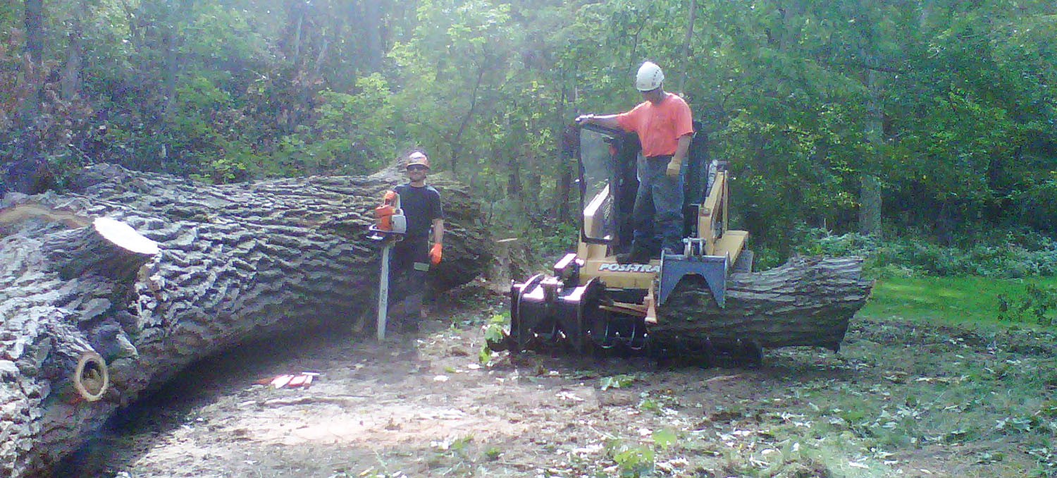 Subcontracted Tree Care