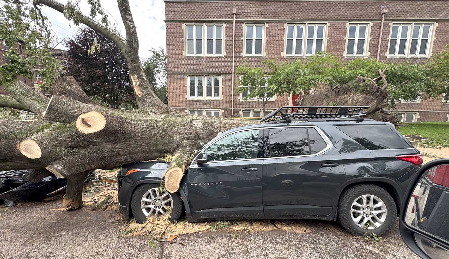 Storm Arborists Brotherhood