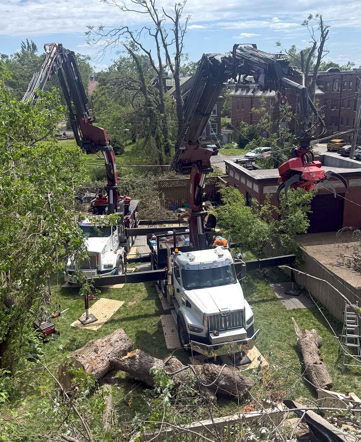 Storm Arborists Brotherhood