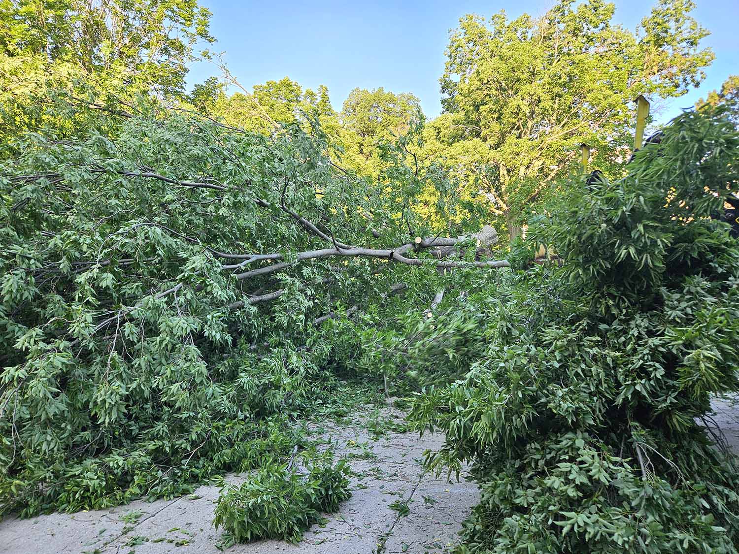 Storm Response Using the Buddy System