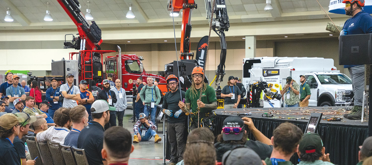 tci Tree Demo