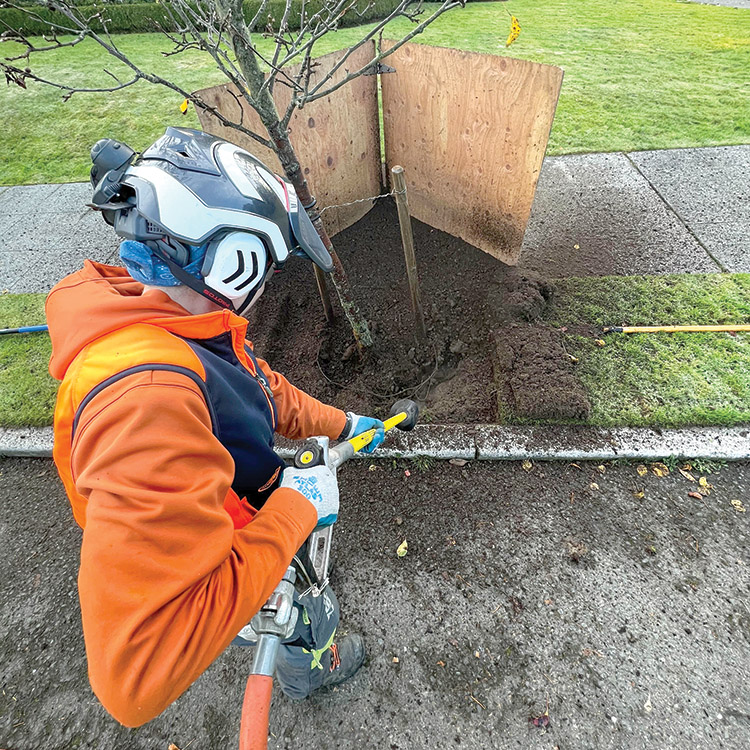Excellence in Tree Care Businesses