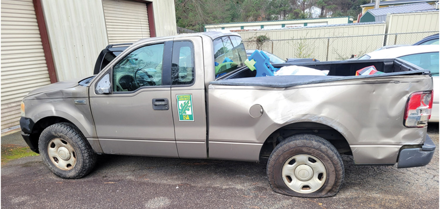 Financial Playbook for Tree Care