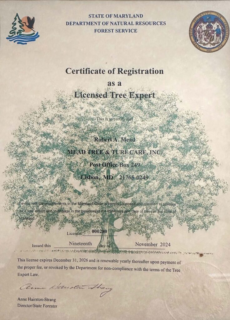 State Licensing for Tree Care