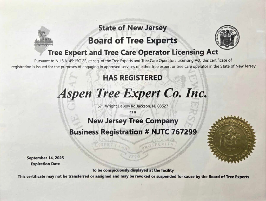 State Licensing for Tree Care1