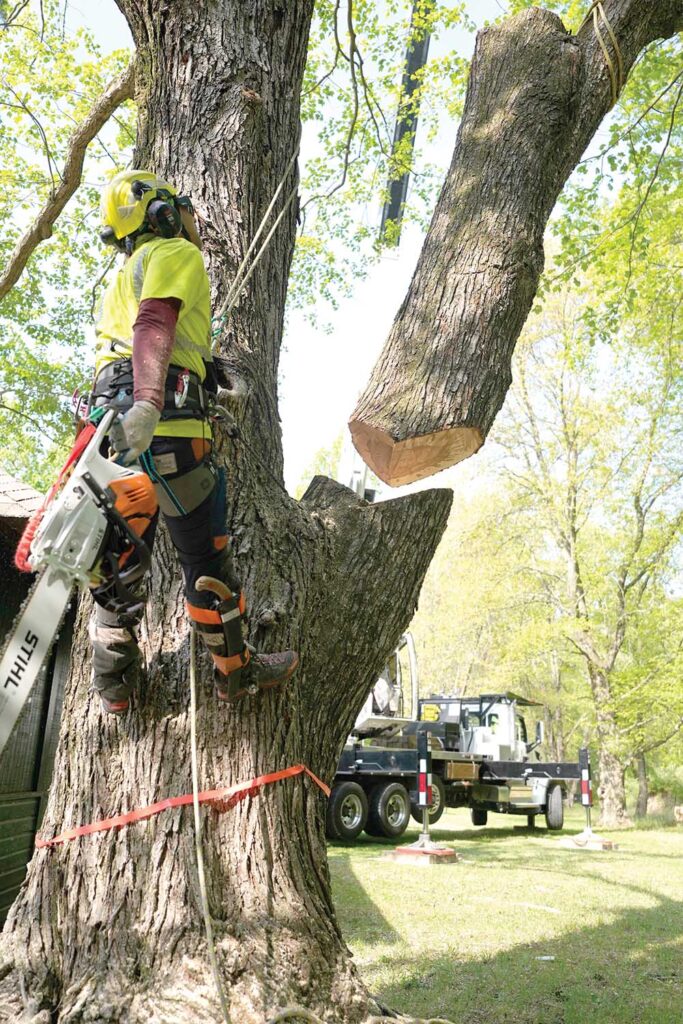 Crane-Assisted Rigging